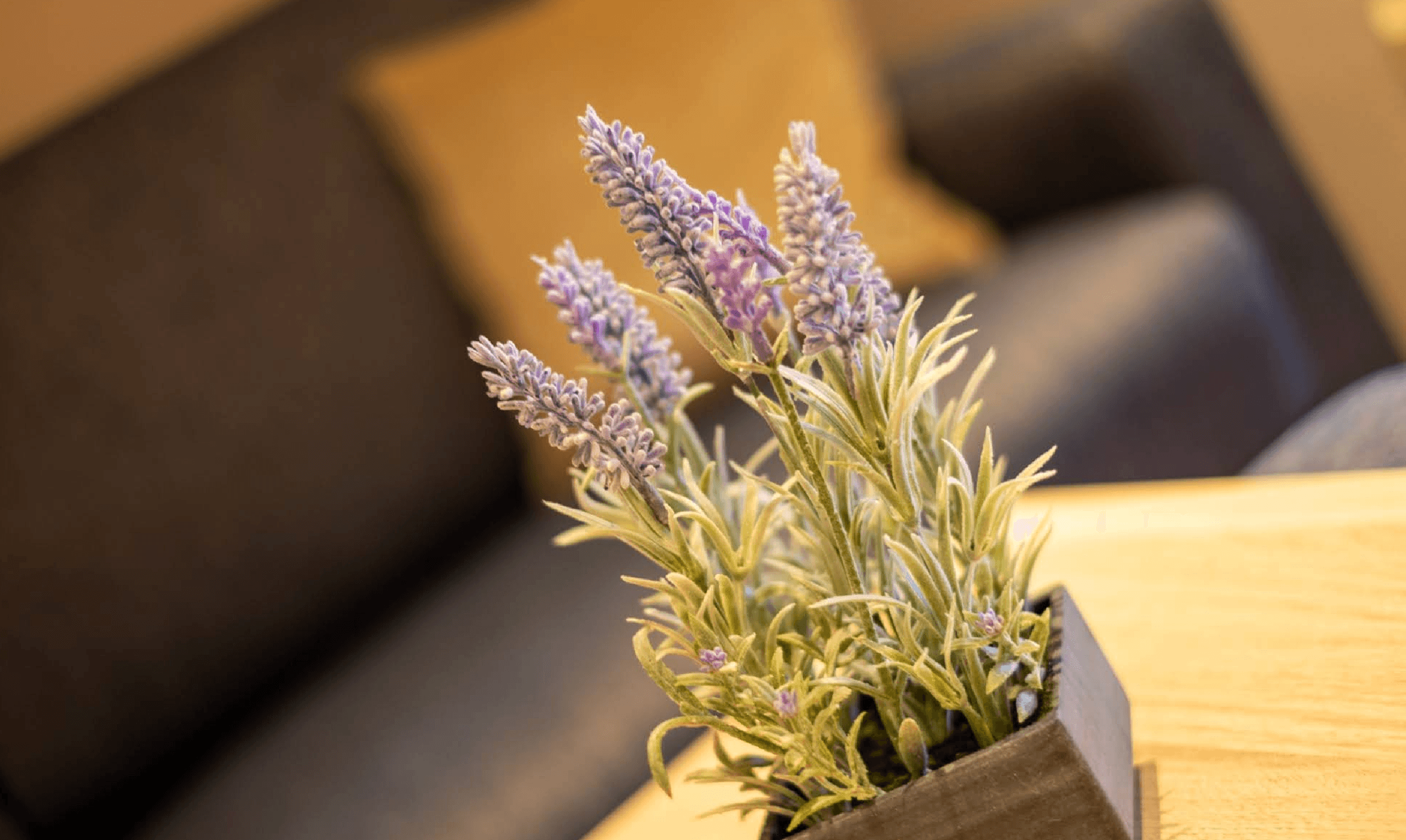 Superior 2-Zimmer-Apartment mit Gebirgsblick 3